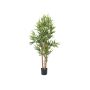 Bambou décoratif ELISSO, tiges véritables, 120cm