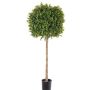 Buis artificiel THORIS, tronc naturel, 105cm, Ø40cm