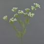 Branche artificielle d'aneth WINCENT, fleurie, blanc-vert, 80cm