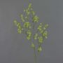 Branche fleurie de Deutzia artificiel ANKEA, vert, 90cm, Ø2cm
