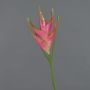 Héliconia artificielle TOMKE, rose-vert, 80cm, Ø30cm