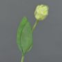 Fausse tulipe ROMANA, vert-blanc, 45cm, Ø6cm
