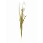 Herbe décorative JILL, piquet, panicules, vert-jaune, 90cm