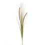 Herbe décorative JILL, piquet, panicules, vert-rouge, 90cm