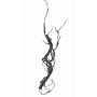 Branche décorative de saule JACE, brun-gris, 55cm