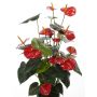 Anthurium en plastique LIOSA à planter, rouge, 80cm, 8x10cm