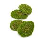 Pièces de mousse décorative HEFEI, 4 pièces, vert, 11x15x5cm