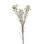 Fleur de cire artificielle MEDEA, crème, 80cm