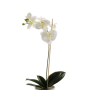 Fleur artificielle Orchidée ISIS, à piquer, blanc, 60cm