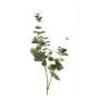 Branche textile Eucalyptus DEREK, vert-gris, 75cm