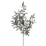 Rameau d'olivier artificiel CARSON, fruits, 100cm