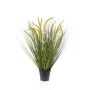 Graminée décorative CAREL avec panicules, vert, 70cm