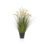 Graminée décorative CAREL avec panicules, vert, 100cm