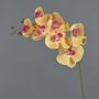 Tige d'orchidée artificielle NEITH, orange-rose, 85cm