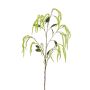 Branche d'Amaranthus décorative MAULE, vert, 100cm