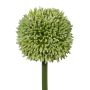 Fleur artificielle Allium MENKES, vert, 65cm