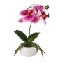 Orchidée Phalaenopsis artificielle KASDA, coupe en céramique, racines, rose fuchsia, 27cm