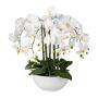 Orchidée Phalaenopsis artificielle KASDA, coupe en céramique, racines, blanc, 55cm