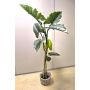 Colocasia en plastique YORICK, vert, 180cm