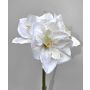 Fleur artificielle Amaryllis MARKUNO, crème-blanc, 60cm