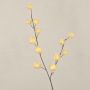 Branche décorative Gomphocarpus ELAENA, fruits, beige-violet, 100cm