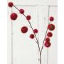 Branche décorative Gomphocarpus ELAENA, fruits, rouge bourgogne, 100cm