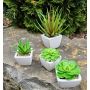 Aloe vera décoratif KATNISS, pot en céramique, vert, 9cm