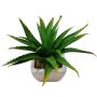 Aloe vera décoratif KATNISS, pot en céramique, vert, 19cm