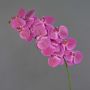 Branche d'orchidée Phalaenopsis artificielle XURI, rose fuchsia, 100cm