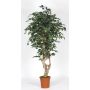 Ficus Benjamina synthétique SILENO, tronc en bois véritable, vert-blanc, 200cm - Made in Italy