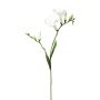 Branche artificielle Freesia FONDYL, blanc, 70cm