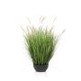 Faux pennisetum WALERIAN dans une coupe décorative, avec des panicules, vert, 80 cm