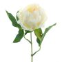Pivoine décorative TALFY, crème, 35cm