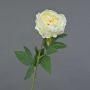 Pivoine décorative TALFY, crème, 65cm