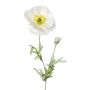 Fleur décorative Coquelicot DRUME, blanc, 60cm