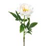 Fleur en plastique Pivoine PEFIN, blanc, 50cm