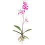 Orchidée Phalaenopsis décorative MALZA, piquet, racines, cerise, 55cm