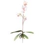 Orchidée Phalaenopsis décorative MALZA, piquet, racines, blanc-lilas, 55cm
