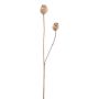 Branche artificielle Capsules de pavot ORIONLA, brun clair, 65cm