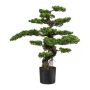 Arbre décoratif Bonsaï théier KEFIEL avec des racines, 90cm