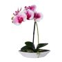 Orchidée Phalaenopsis décorative ORWAN, coupe décorative, racines, blanc-lilas, 30cm