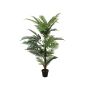 Dypsis lutescens décoratif MELINE, 150cm