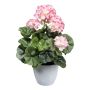 Fleur décorative Géranium KLUMOR en cache-pot en mélamine, rose-blanc, 35cm