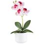 Orchidée Phalaenopsis artificielle WERKAN, pot en céramique, racines, blanc-rose fuchsia, 27cm
