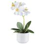 Orchidée Phalaenopsis artificielle WERKAN, pot en céramique, racines, blanc, 27cm