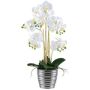 Orchidée Phalaenopsis en tissu VORDLIN, pot en céramique argenté, racines, blanc, 60cm