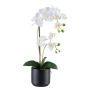 Orchidée Phalaenopsis artificielle MAYAK, pot en céramique, racines, blanc, 50cm