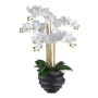 Orchidée Phalaenopsis en tissu STONFER, pot décoratif noir, racines, blanc, 70cm