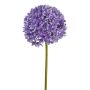 Fleur décorative Allium KLATE, lilas, 90cm