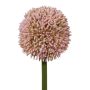 Fleur artificielle Allium MENKES, rose, 65cm
